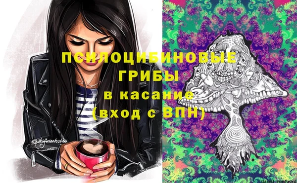 амф Алексеевка